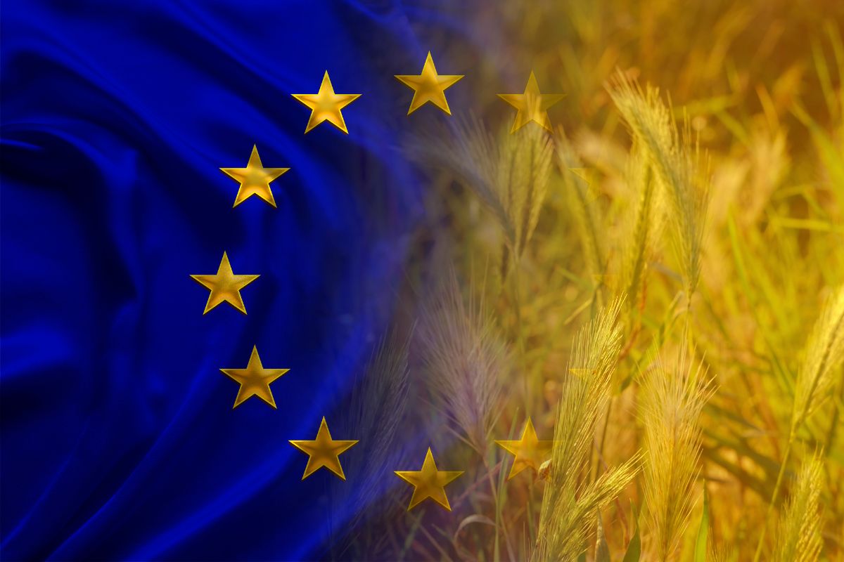 UE flag wheat_©KITTYFLY - STOCK.ADOBE.COM_e.jpg