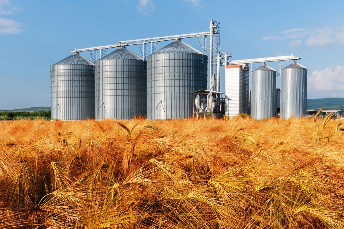 Grain Storage and Handling