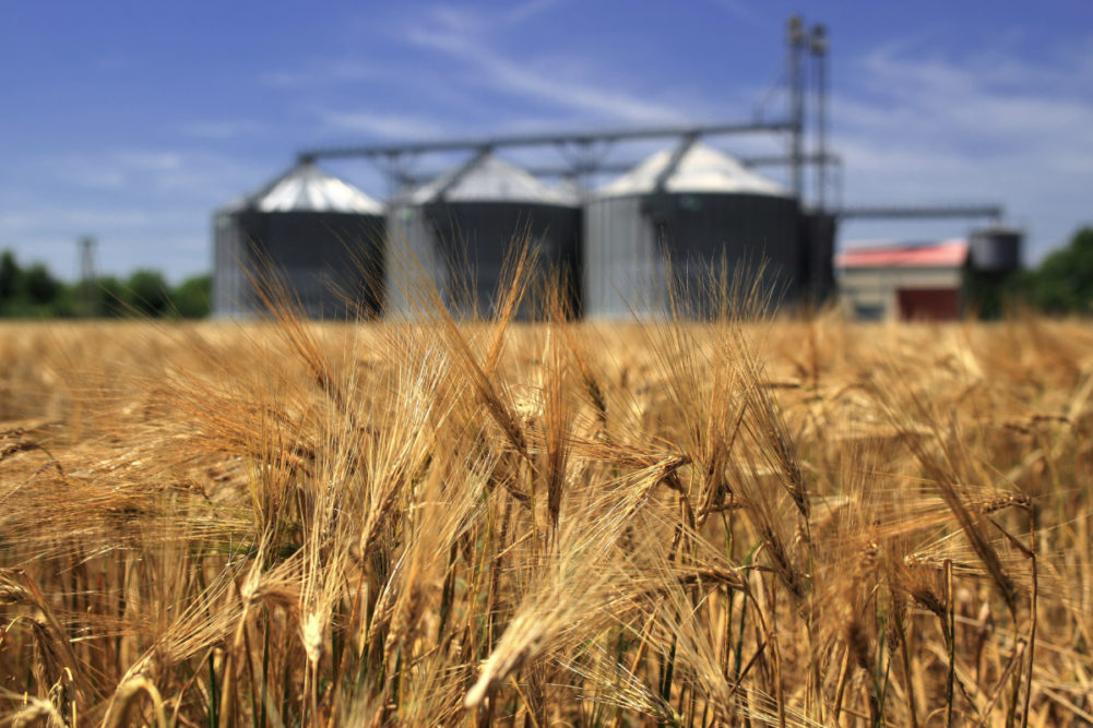 wheat field silos