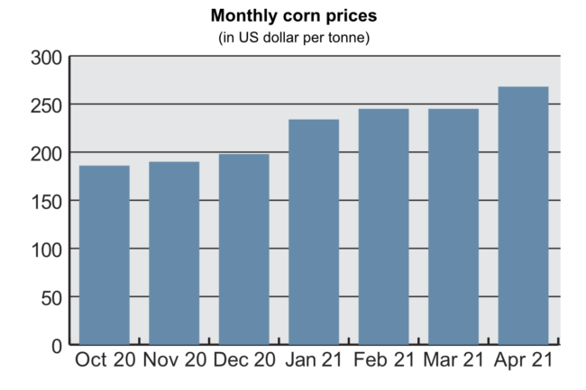 GMR_Coarse-grains_Corn-chart_JUNE_E.png