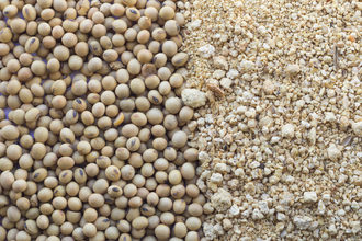 India-soybean-production.jpg