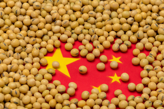 Soybean and china flag combo photo cred adobe stock e