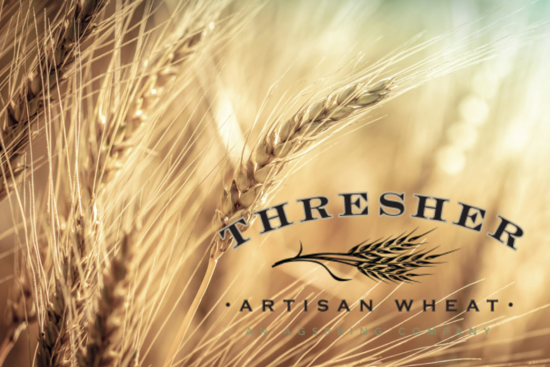 Thresher-with-wheat.jpg