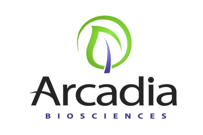 Arcadia logo