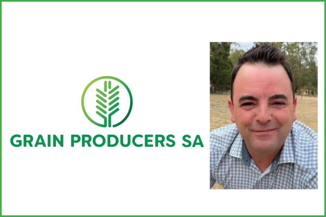Grain Producers SA Brad Perry