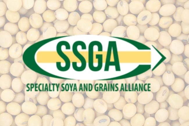 SSGA Logo
