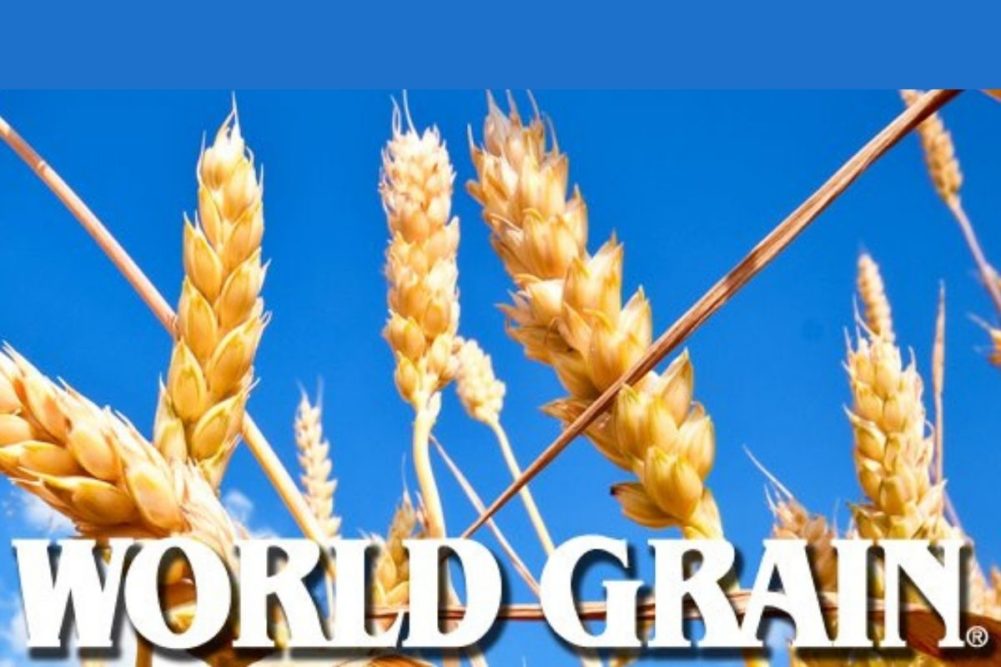 World Grain logo
