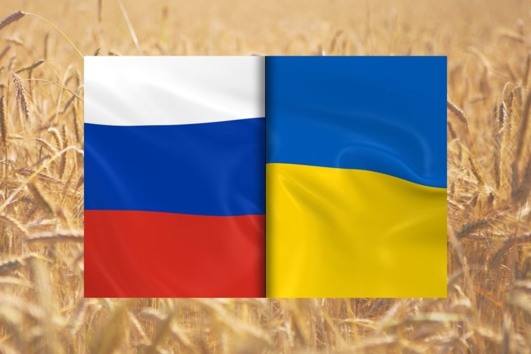 Russia Ukraine flags on wheat field