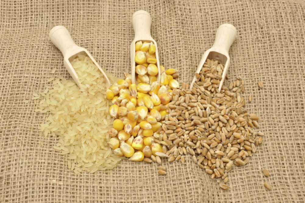 Rice corn wheat