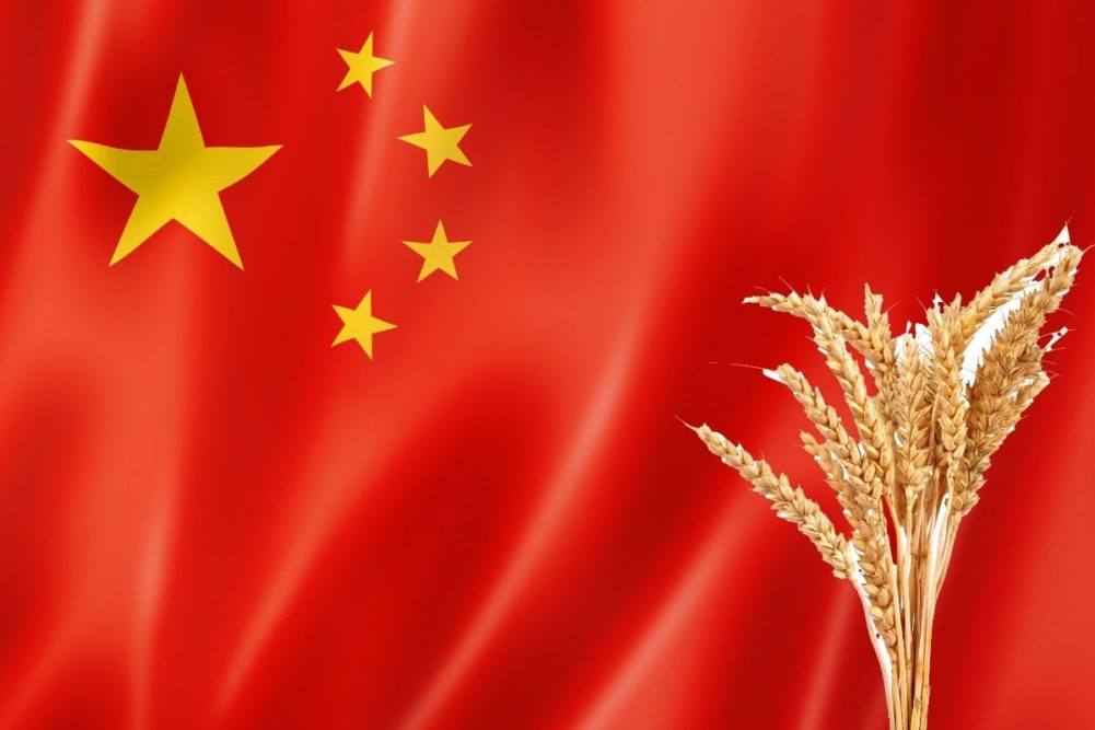 China flag wheat