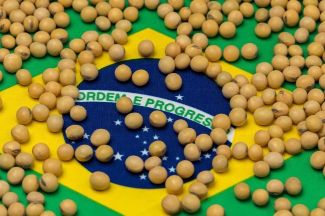 Brazil flag soybeans