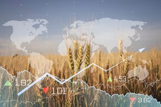 Grain food world prices inflation cr adobe stock e