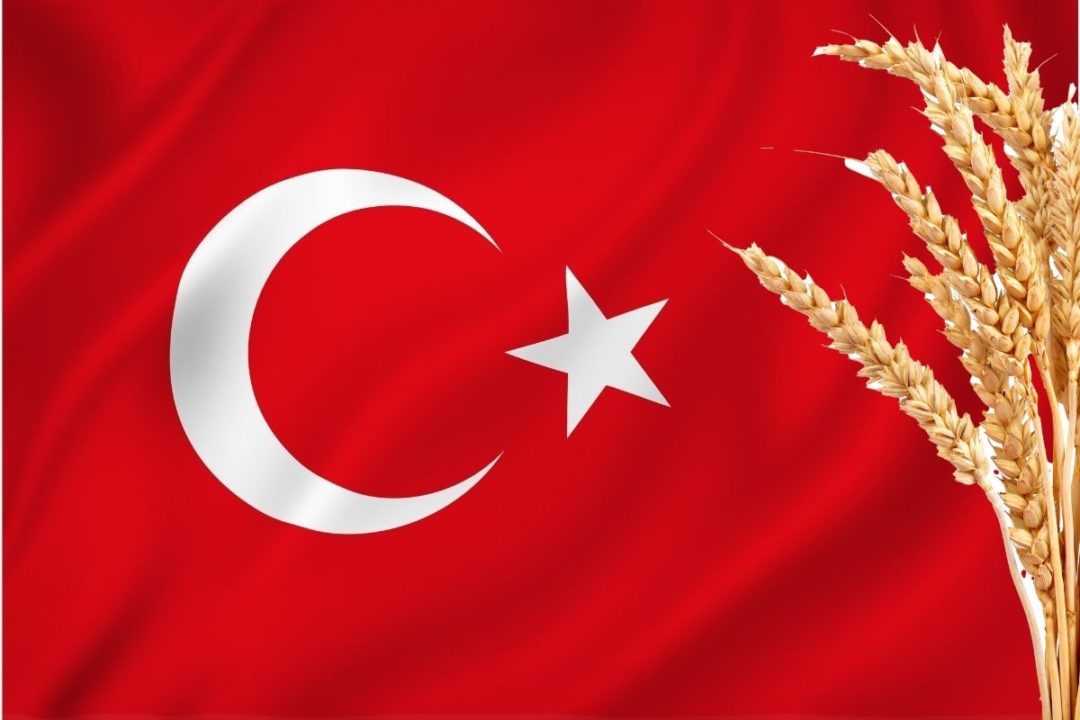 Turkey flag wheat