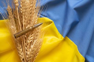 Ukraine wheat bullet war cr adobe stock e