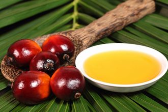 Palm oil cr adobe stock e
