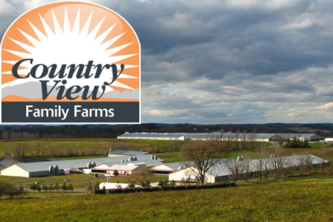 Country View Family Farms and logo