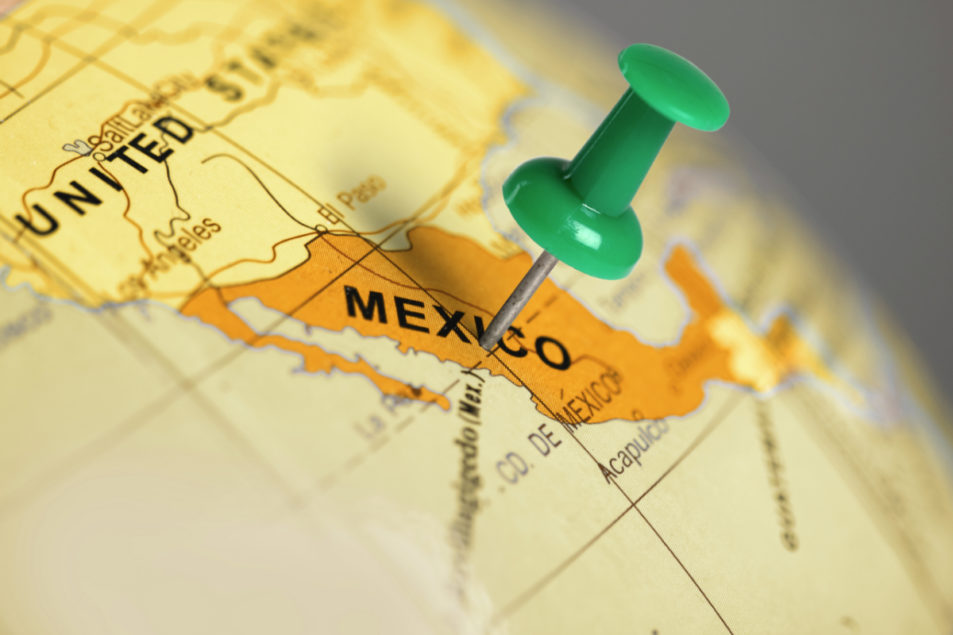Se espera que la producción de semillas oleaginosas en México aumente ligeramente