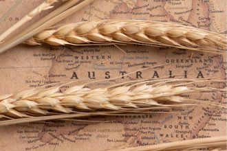 Australia map barley cr adobe stock e