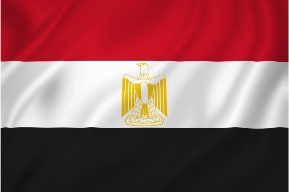 Egypt plans to withdraw from UN grains treaty