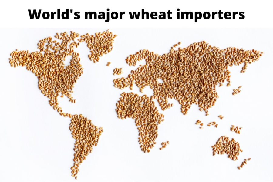 World's major wheat import regions