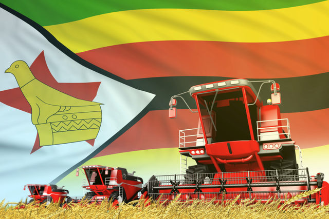 Zimbabwe harvest flag adobe stock