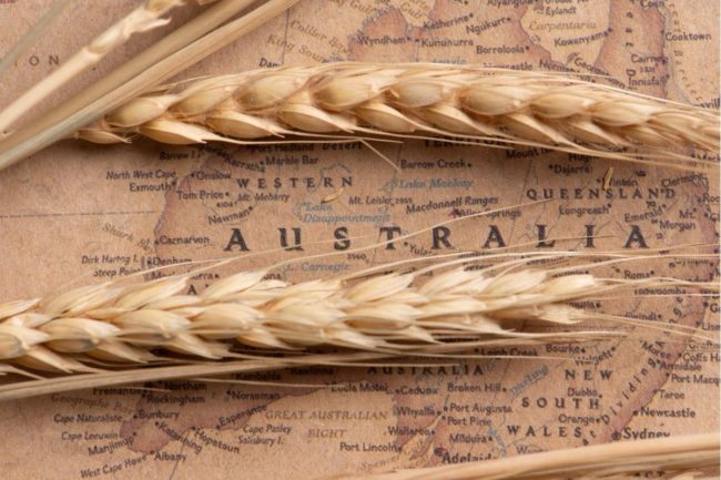 Australia map barley_cr Adobe Stock_E.jpg