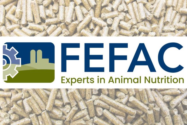 FEFAC logo feed background