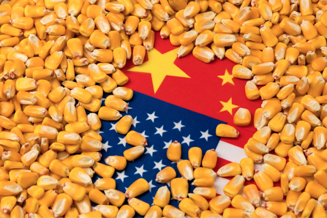 China US flag corn