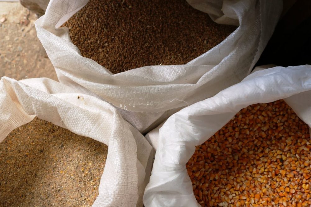 Animal-feed_wheat-corn-compound-feed