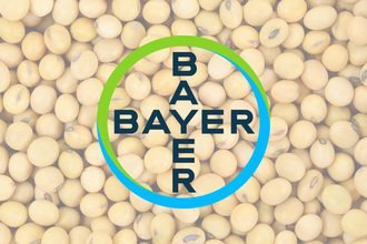 Bayer-logo_soybeans