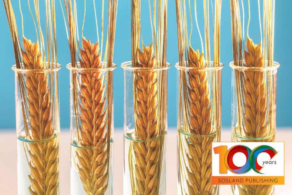 GM wheat in test tubes_Sosland 100 logo_cr Adobe Stock_E.jpg