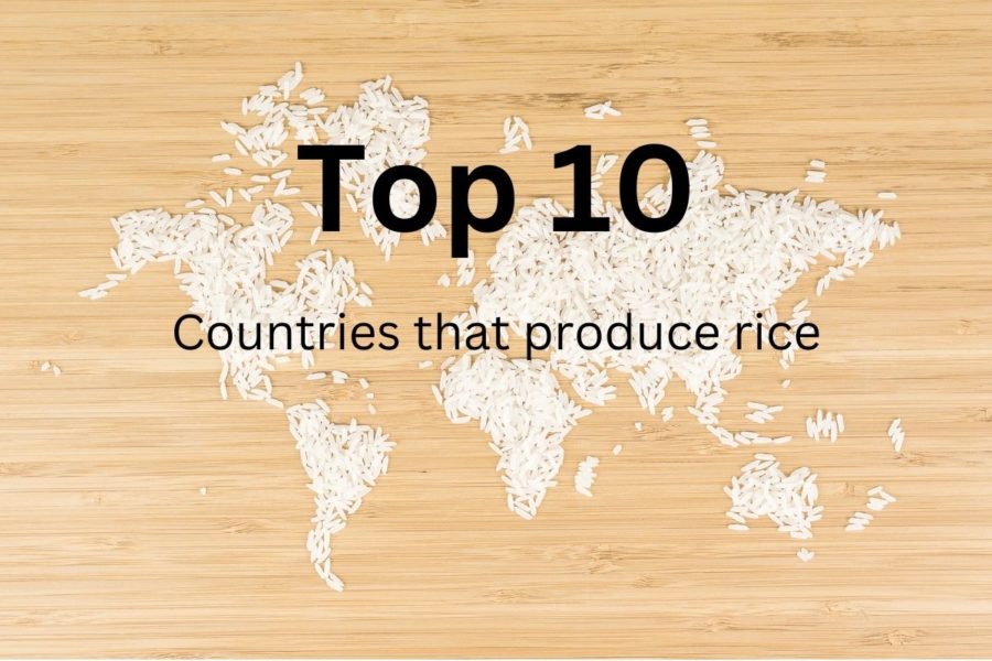 Top 10 rice