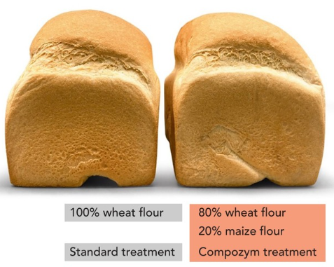 Bread_composite flour_cr Muhlenchemie_E.png