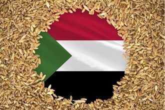Sudan flag wheat_cr Adobe Stock_prehistorik_E.jpg