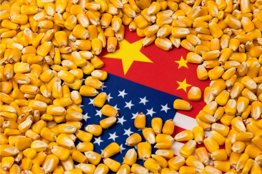 China US flags corn_cr ©JJ GOUIN - STOCK.ADOBE.COM_e.jpg