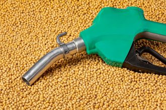 biofuels soybeans_cr ©JJ GOUIN-STOCK.ADOBE.COM_e.jpg