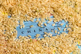 China rice_cr ©JJ GOUIN - STOCK.ADOBE.COM.jpg