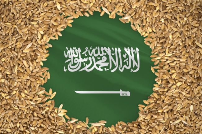Saudi Arabia flag wheat_cr ©PREHISTORIK - STOCK.ADOBE.COM_e.jpg