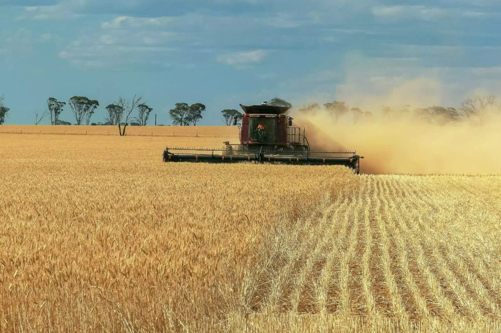 Australia wheat harvest_cr ©CHRIS - STOCK.ADOBE.COM.jpg