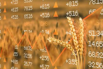 wheat markets prices_cr ©BILLIONPHOTOS.COM – STOCK.ADOBE.COM_e.jpg