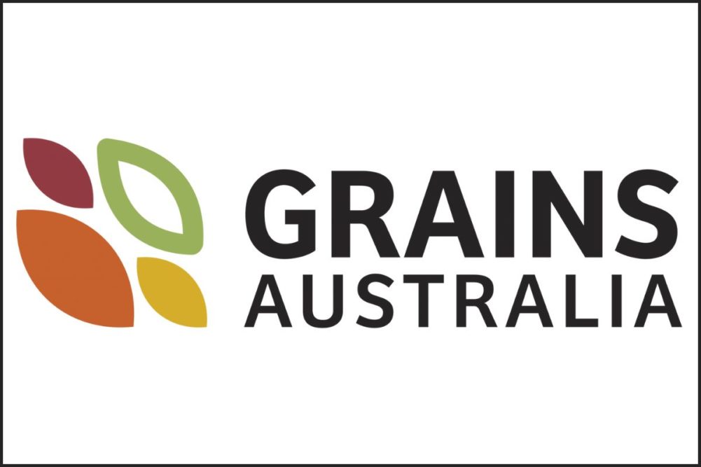 Grains Australia logo_e.jpg