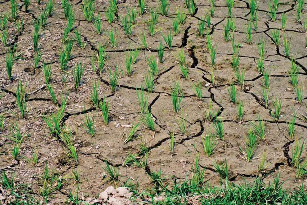 drought climate_©BELIKOVA OKSANA-STOCK.ADOBE.COM_e.jpg