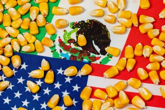 US Mexico flags corn_©JJ GOUIN - STOCK.ADOBE.COM_e.jpg