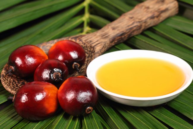 palm oil_©DOLPHFYN - STOCK.ADOBE.COM_e.jpg