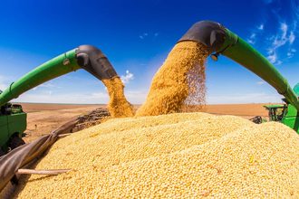 soybean harvest_©LORENCO FURTADO - STOCK.ADOBE.COM_e.jpg