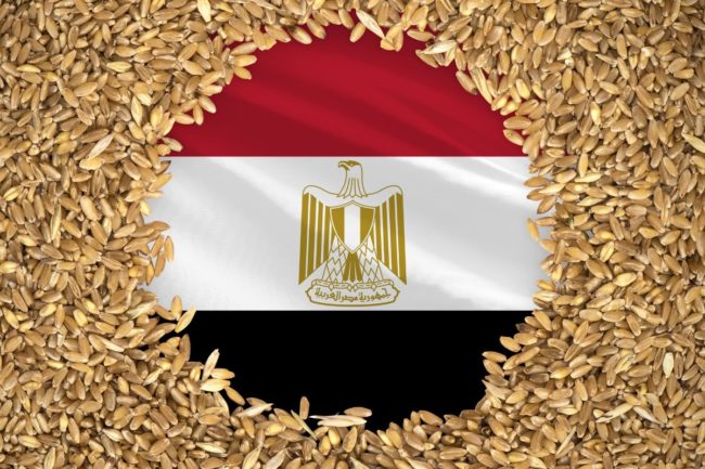 Egypt flag wheat grain_©PREHISTORIK - STOCK.ADOBE.COM_e.jpg