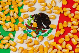 Mexico corn_©JJ GOUIN - STOCK.ADOBE.COM_e.jpg
