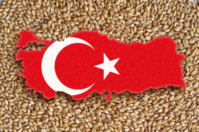 Turkey map flag grain wheat_©ADAM RADOSAVLJEVIC - STOCK.ADOBE.COM_e.jpg