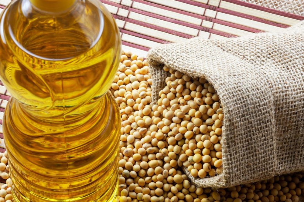 soybeans oil_©ILTON ROGERIO - STOCK.ADOBE.COM_e.jpg