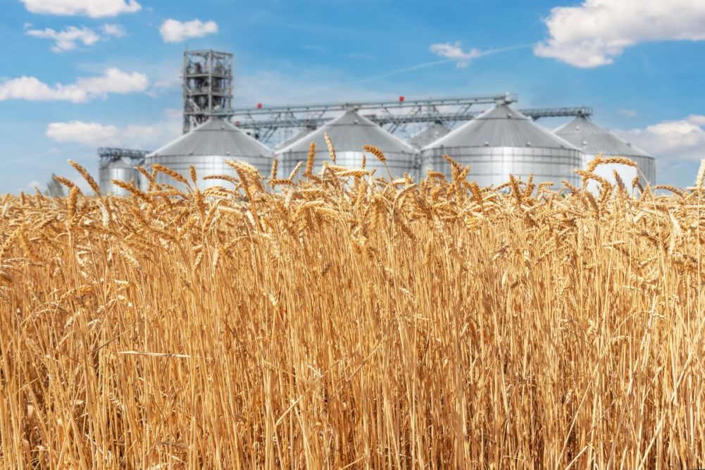 Wheat_grain silos_©KIRILL GORLOV - STOCK.ADOBE.COM_e.jpg